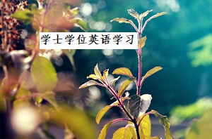 广东成人高考学士学位英语学习有哪些方法?