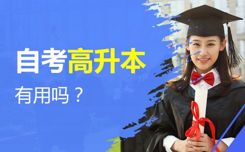 自考高升本有用吗?