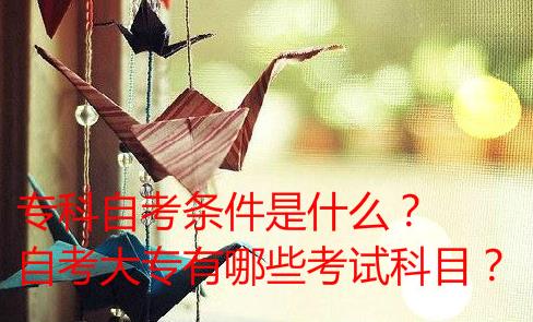 专科自考条件是什么？自考大专有哪些考试科目？