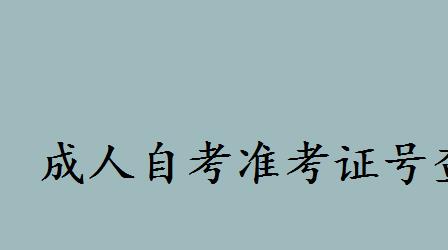 成人自考准考证号查询方法有哪些？用身份证号查考生号正确吗