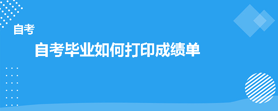 自考毕业如何打印成绩单